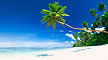 Cruise & Beach