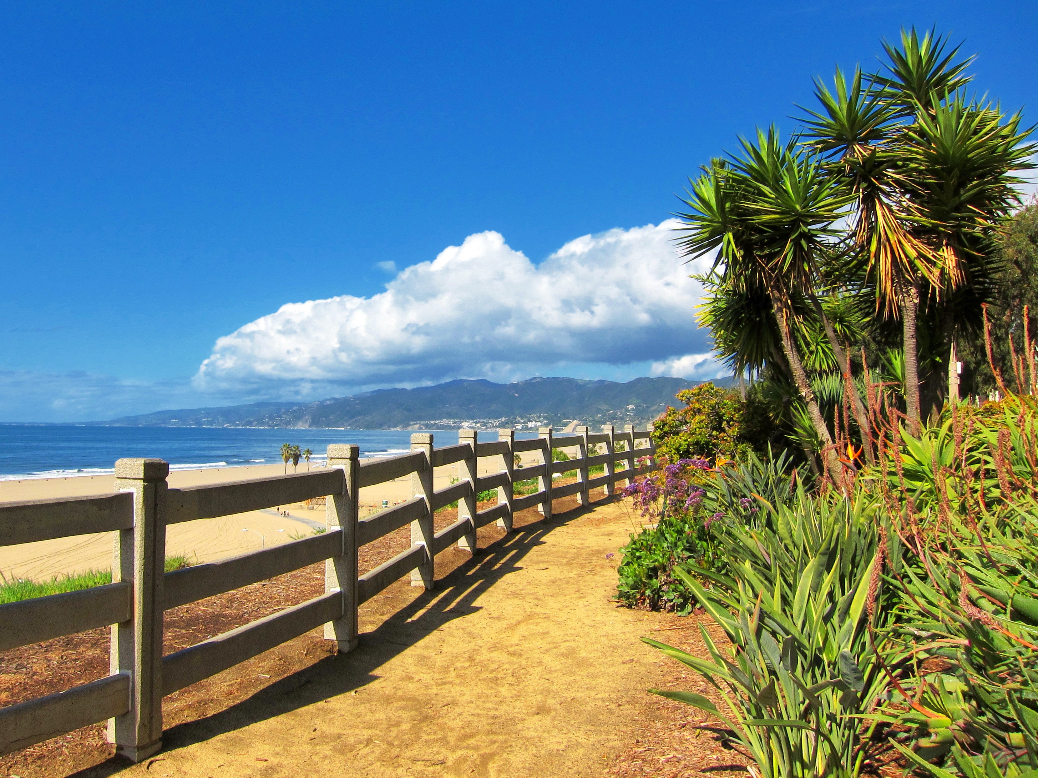 l.a. beaches hotels in l.a. beaches